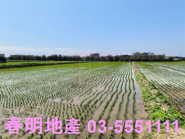 新竹新豐農地-1