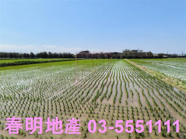 新竹新豐農地-4