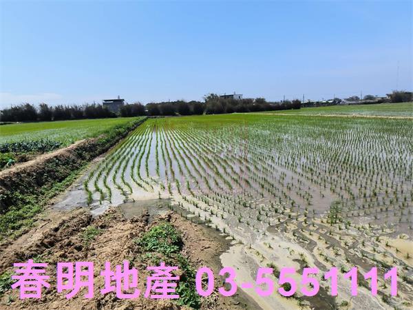 新竹新豐農地-5