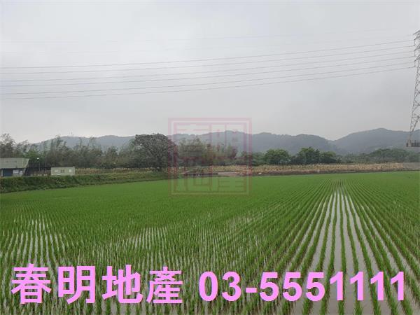 新竹新埔農地-0