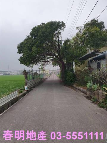 新竹新埔農地-5