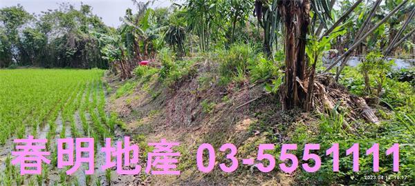 新竹農地-9