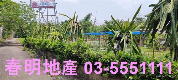 新竹農地-11