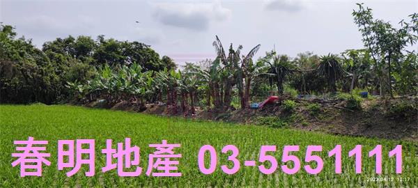 新竹農地-12