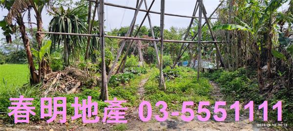 新竹農地-13