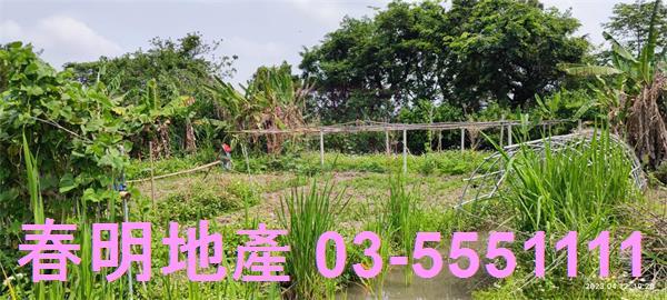 新竹農地-1