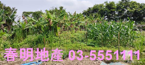 新竹農地-3