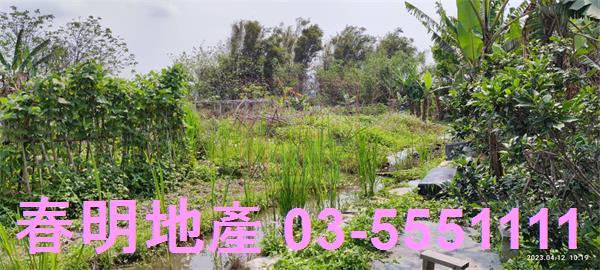 新竹農地-4