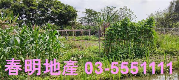 新竹農地-5