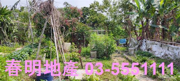 新竹農地-6