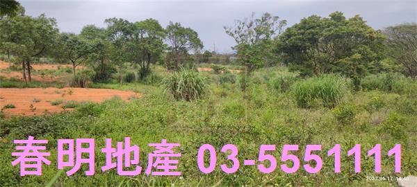 新竹農地-9