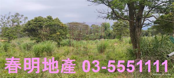 新竹農地-10