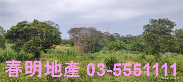 新竹農地-1