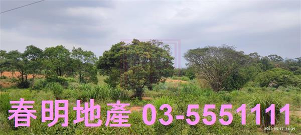 新竹農地-7
