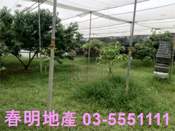 新竹湖口農地-9