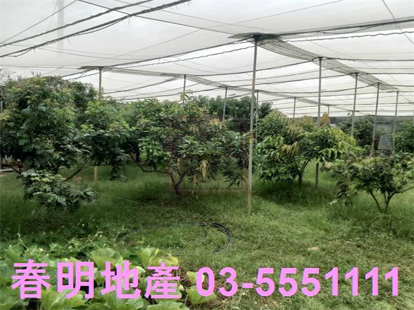 新竹湖口農地-11