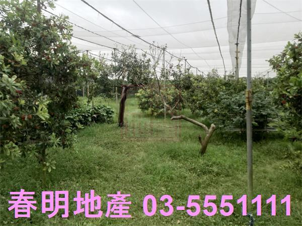 新竹湖口農地-12