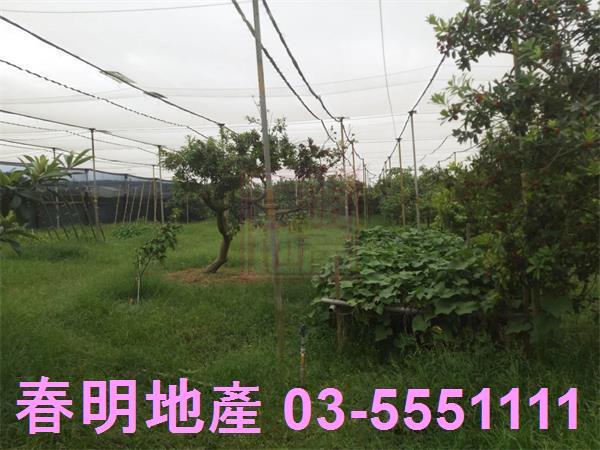 新竹湖口農地-7