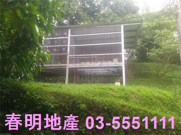 三灣農地-2