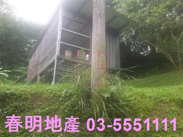 三灣農地-5
