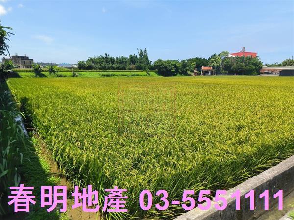 湖口農地-3