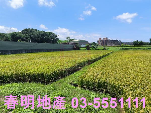 湖口農地-4