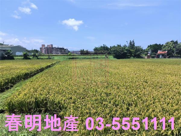 湖口農地-5