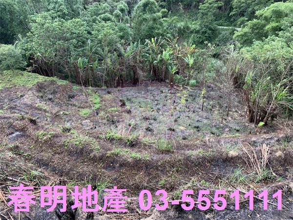 新竹峨眉農地-9