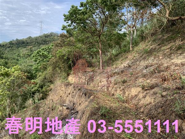 新竹峨眉農地-10