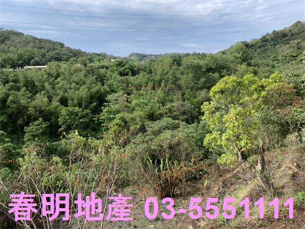 新竹峨眉農地-11