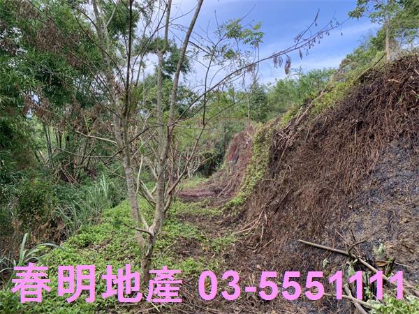 新竹峨眉農地-5