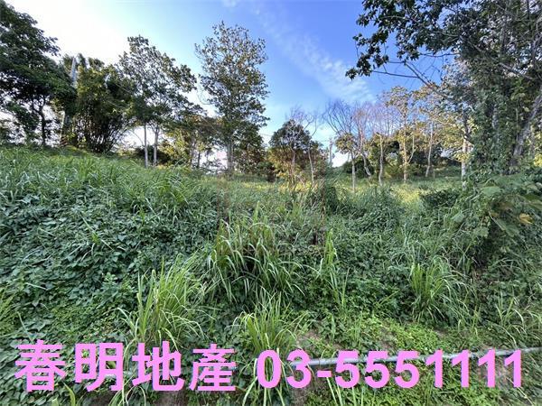 新竹寶山農地-9