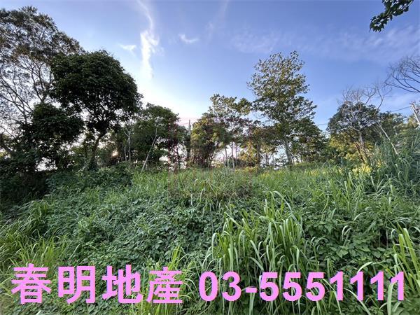 新竹寶山農地-10