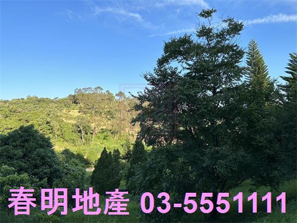 新竹寶山農地-5