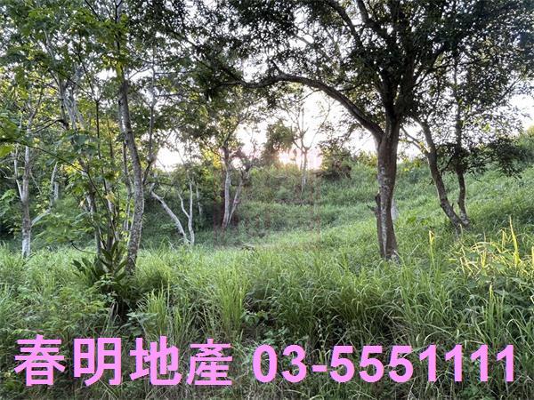 新竹寶山農地-6