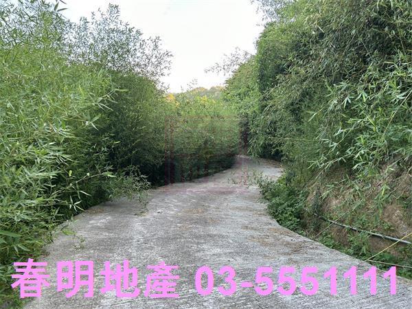 新竹寶山農地-7