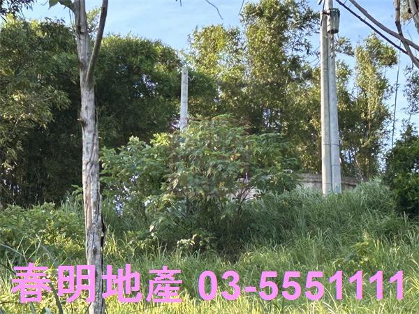新竹寶山農地-8