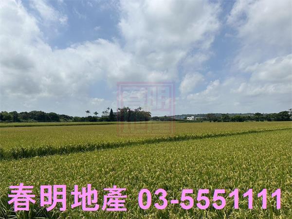 新竹新豐農地-0