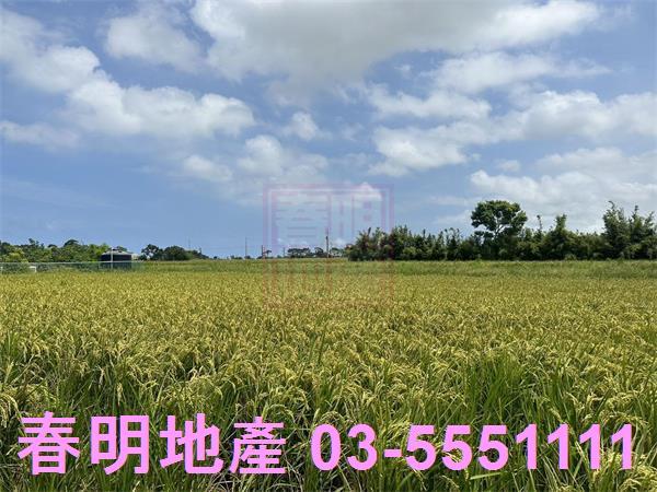 新竹新豐農地-3