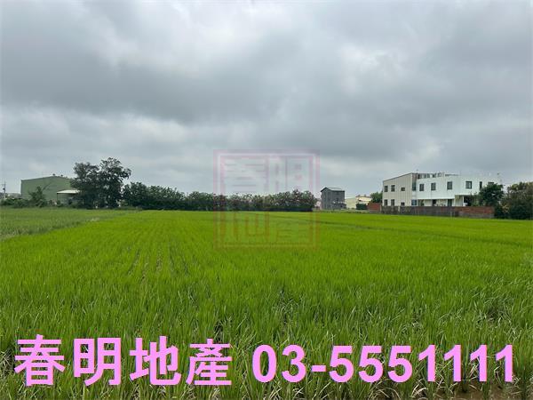 新豐農地-5