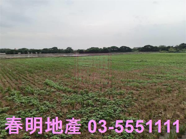 竹北農地-0