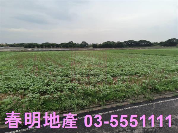 竹北農地-1