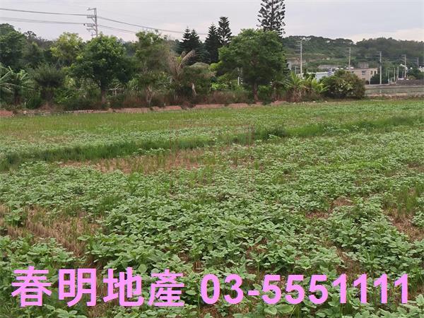 竹北農地-4