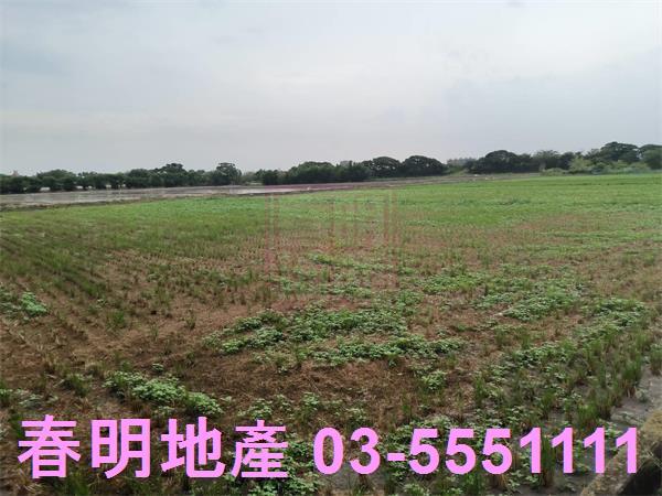 竹北農地-5