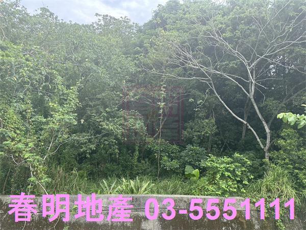 新竹香山農地-4