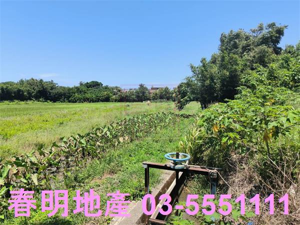 新竹竹北農地-0