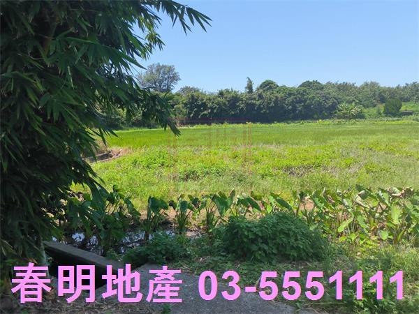 新竹竹北農地-3