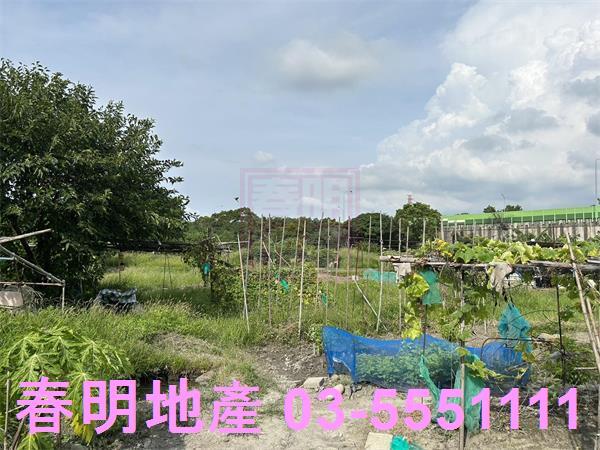 新竹東區農地-3