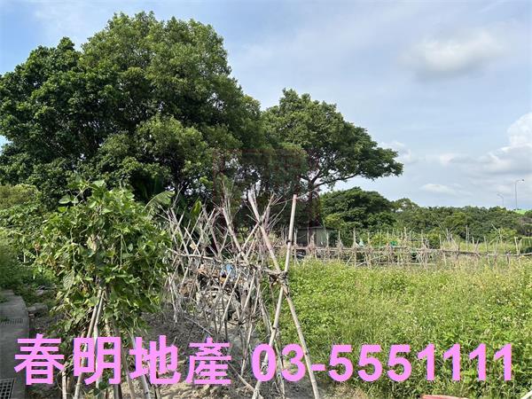 新竹東區農地-4