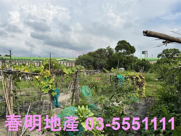 新竹東區農地-5